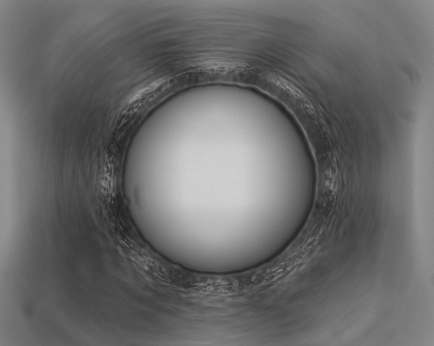 X0000113280869200909141223