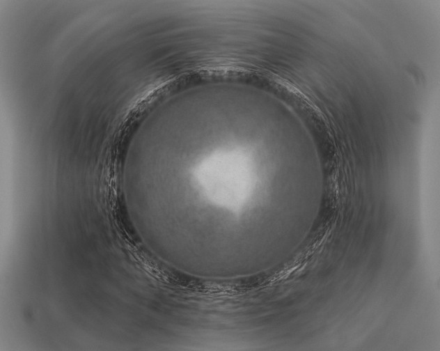 X0000113280870200909141223