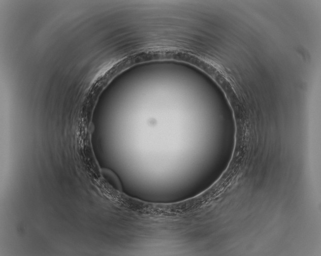 X0000113280871200909141223