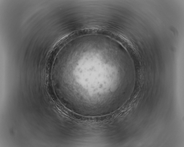 X0000113280872200909141223