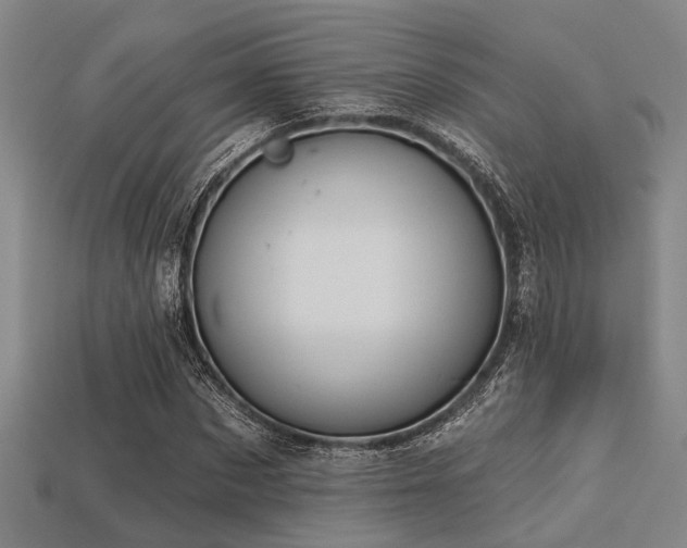 X0000113280873200909141223