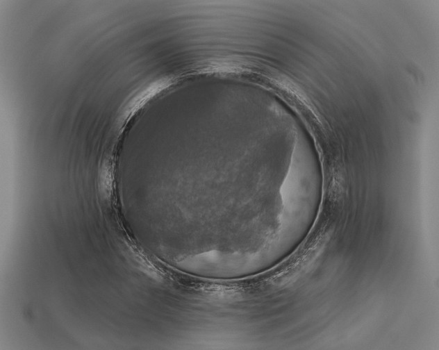 X0000113280874200909141223