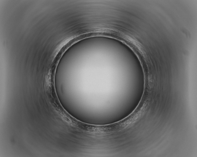 X0000113280875200909141223