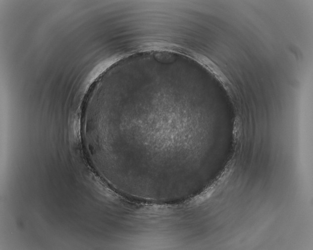 X0000113280877200909141223