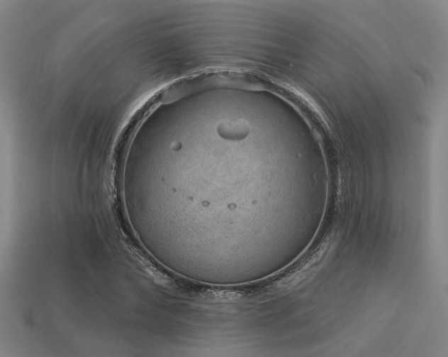 X0000113280878200909141223