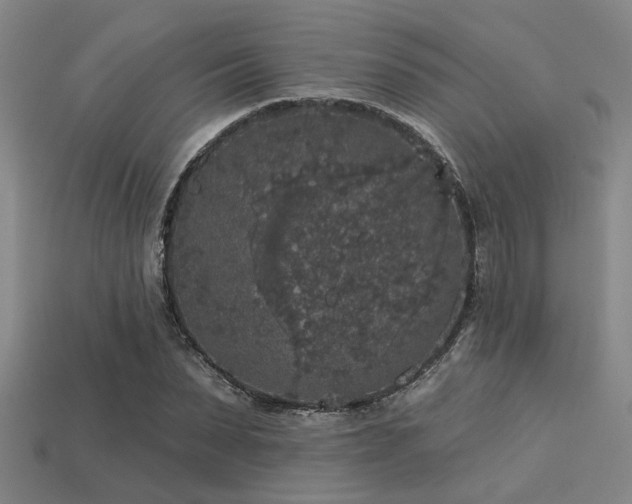 X0000113280879200909141223