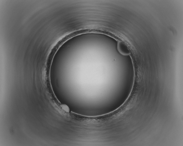 X0000113280880200909141223