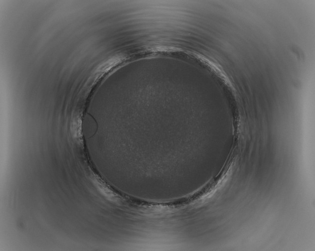 X0000113280881200909141223