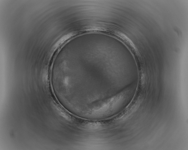 X0000113280882200909141223