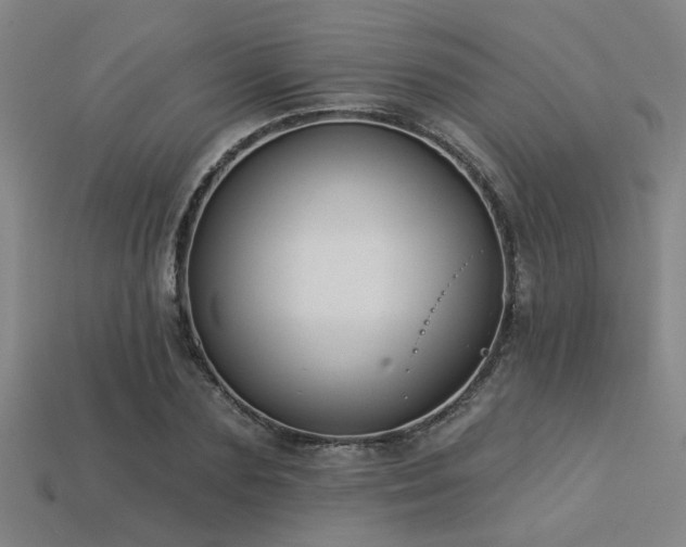 X0000113280883200909141223