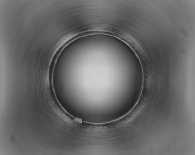 X0000113280884200909141223