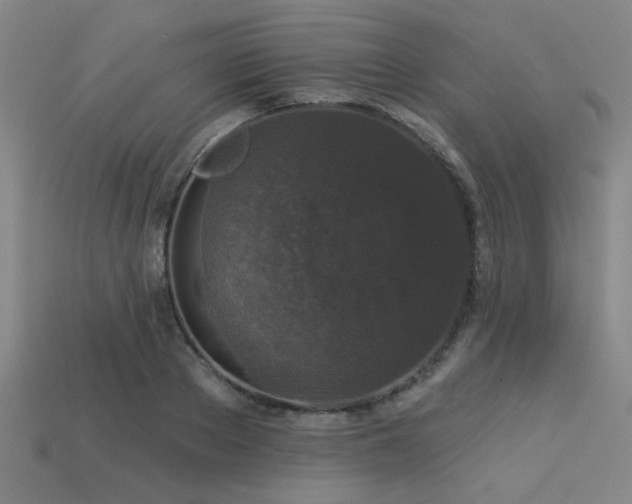 X0000113280889200909141223