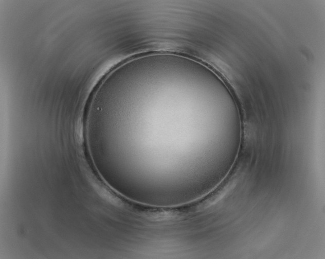 X0000113280891200909141223