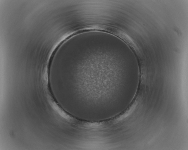 X0000113280892200909141223