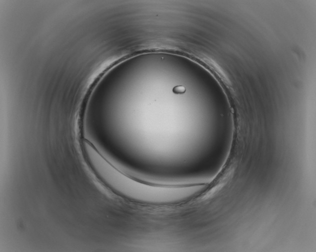 X0000113280893200909141223