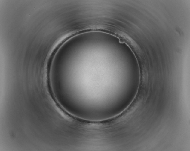 X0000113280894200909141223