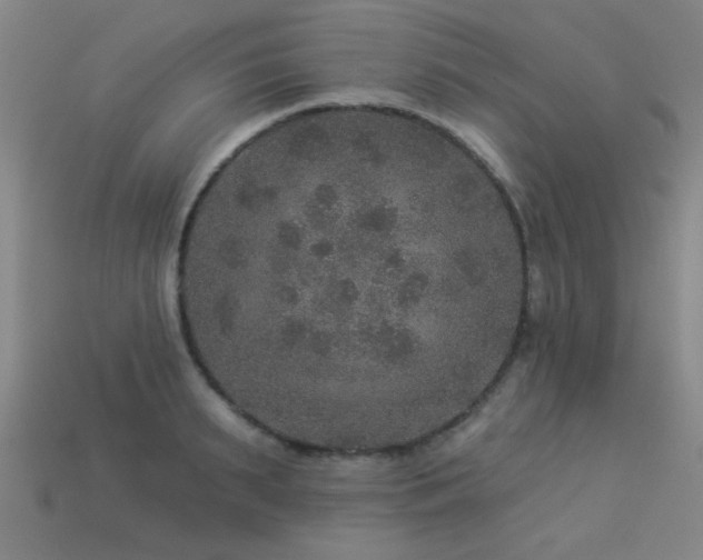 X0000113280895200909141223