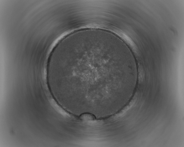 X0000113280896200909141223