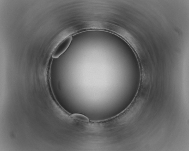 X0000113280901200909141222