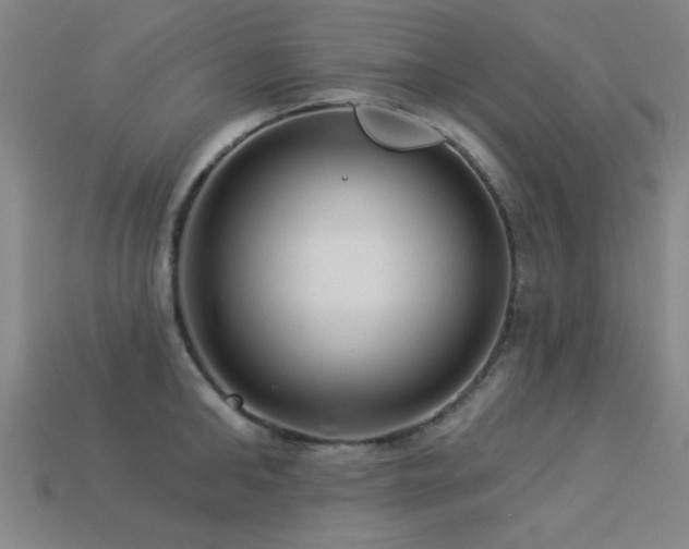 X0000113280902200909141222