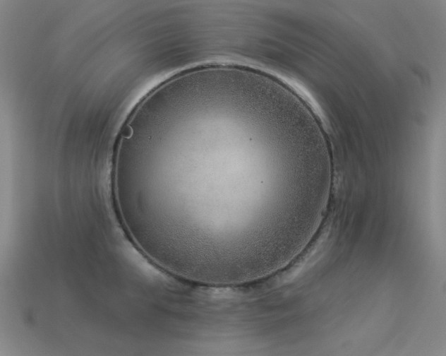 X0000113280903200909141222