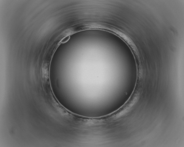 X0000113280905200909141222