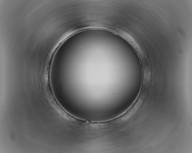 X0000113280908200909141222