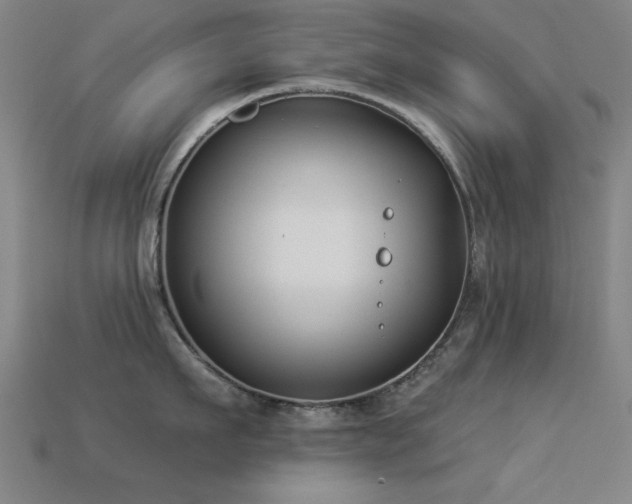 X0000113280911200909141222