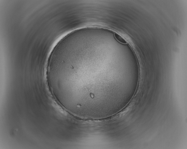 X0000113280912200909141222