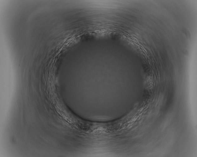 X0000113280913200909141222