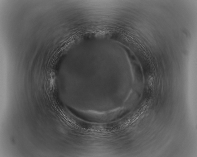 X0000113280914200909141222