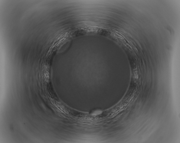 X0000113280916200909141222