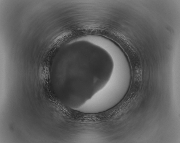 X0000113280918200909141222