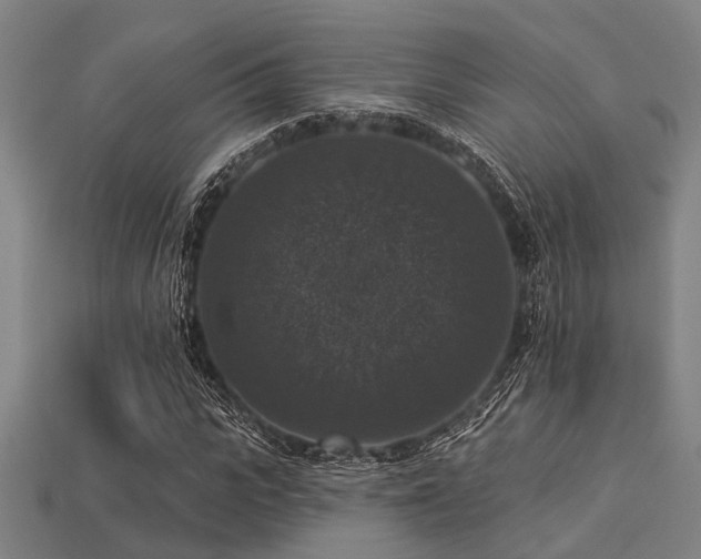 X0000113280919200909141222