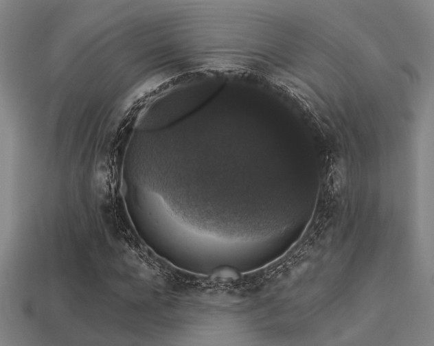 X0000113280920200909141222