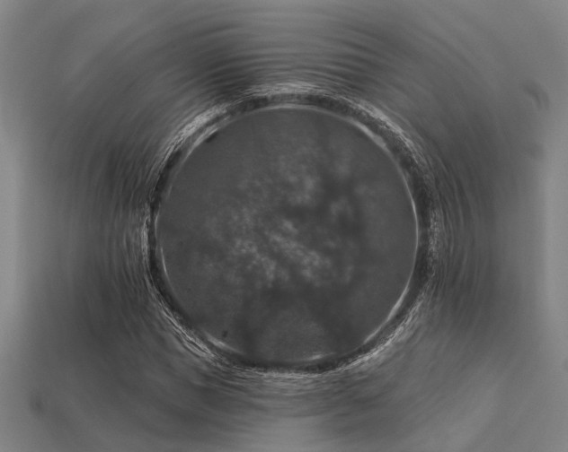 X0000113280921200909141222