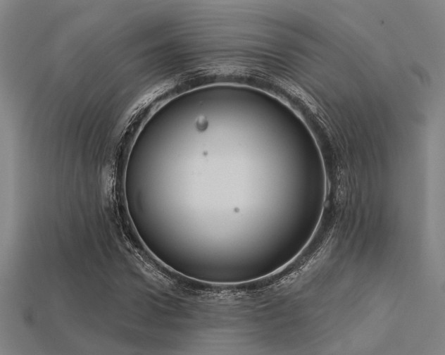 X0000113280922200909141222