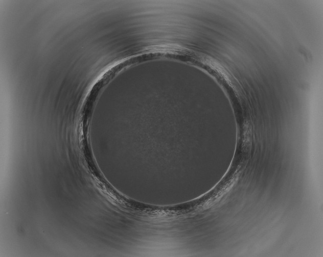 X0000113280923200909141222