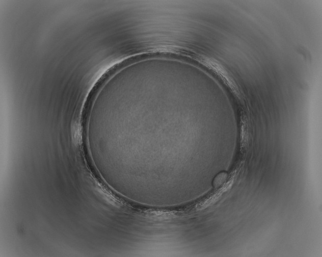 X0000113280924200909141222