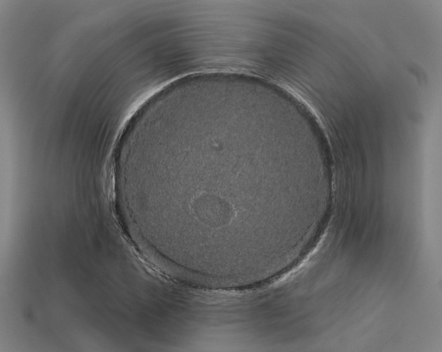 X0000113280925200909141222