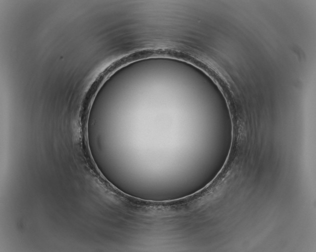 X0000113280927200909141222