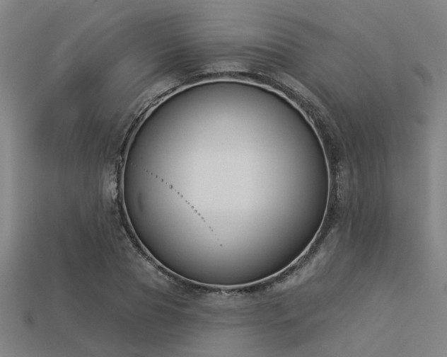 X0000113280929200909141222