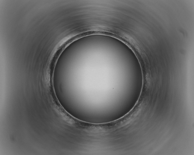 X0000113280931200909141222