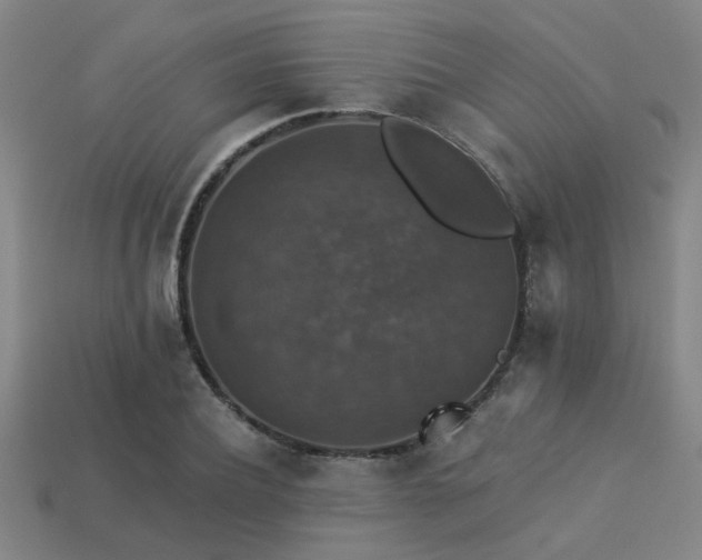 X0000113280932200909141222