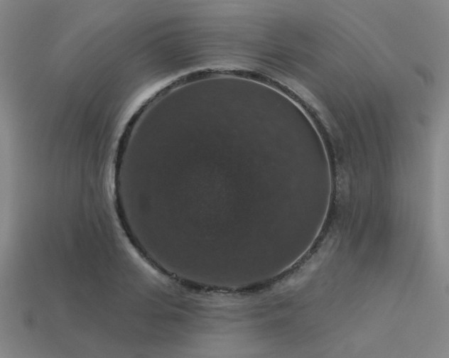 X0000113280935200909141222