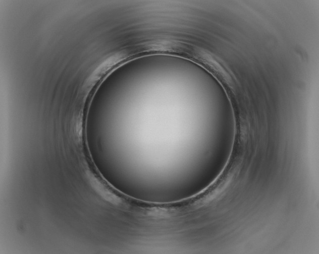 X0000113280938200909141222