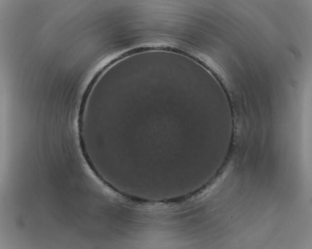 X0000113280943200909141222