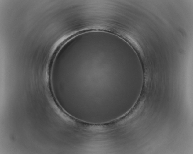 X0000113280944200909141222