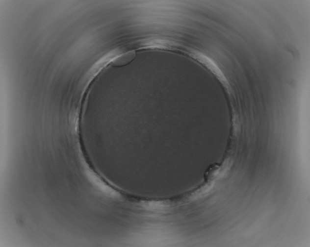 X0000113280946200909141222