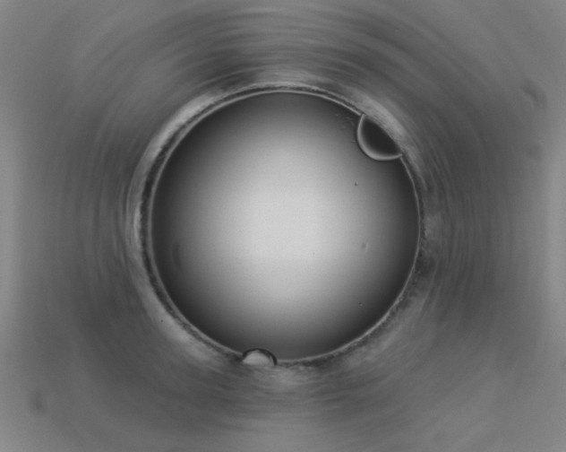 X0000113280947200909141222